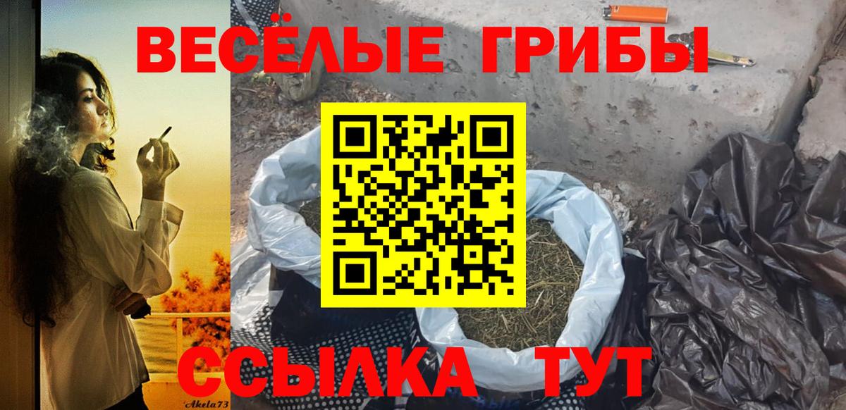 Псилоцибиновые грибы Magic Shrooms  Вход с VPN  Котельники 